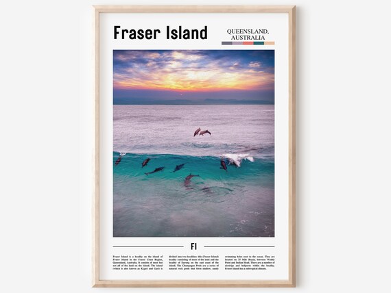 Fraser Island Queensland Australia Dolphins Sunset Ocean Photo Poster