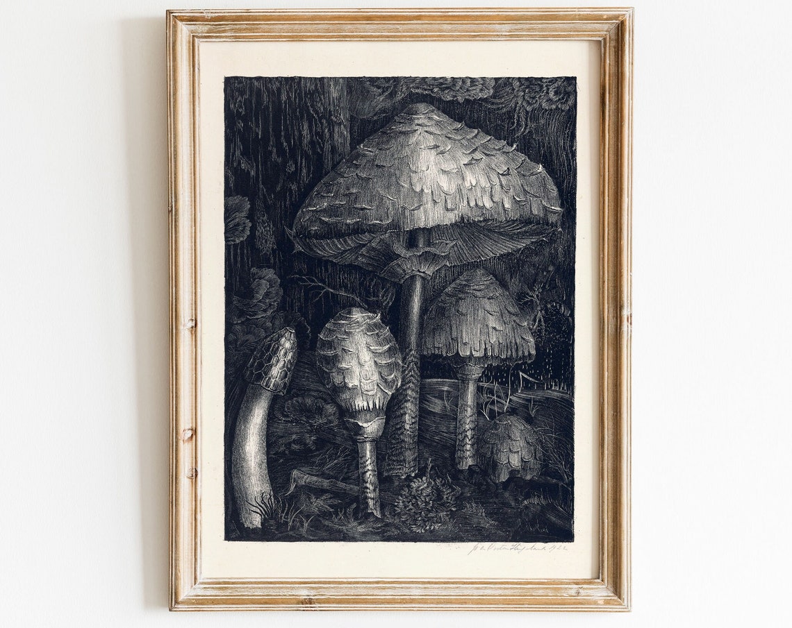 Vintage Black and White Mushroom Engraving Dark Forest Botanical Print