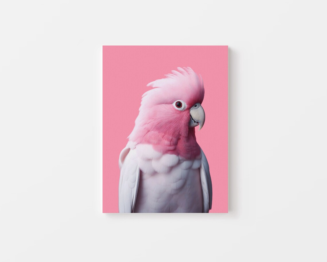 Pink Galah Bird Poster Print, Tropical Australia - Image 4