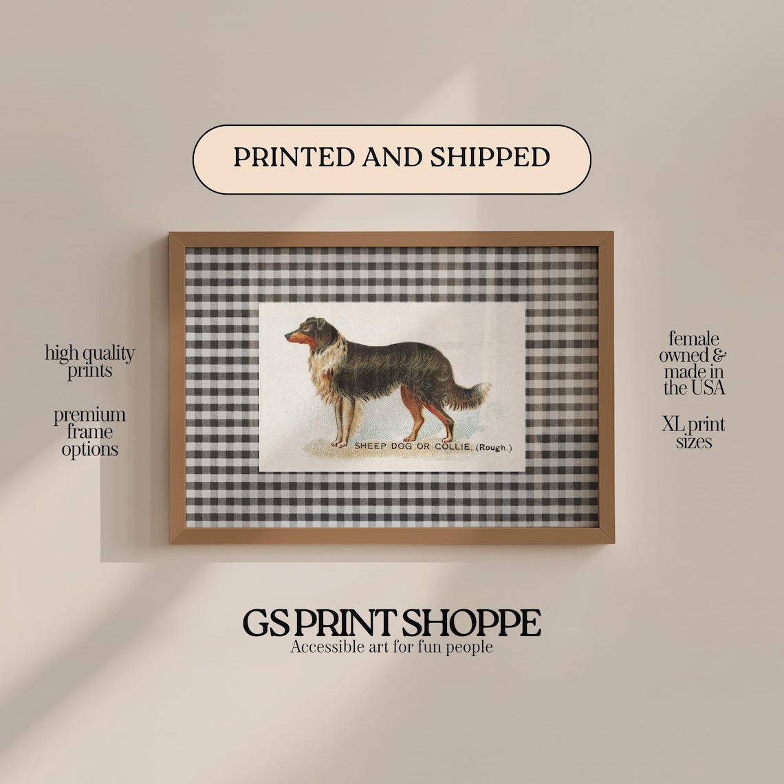 Vintage Rough Collie Sheep Dog Breed Illustration Poster Antique Art