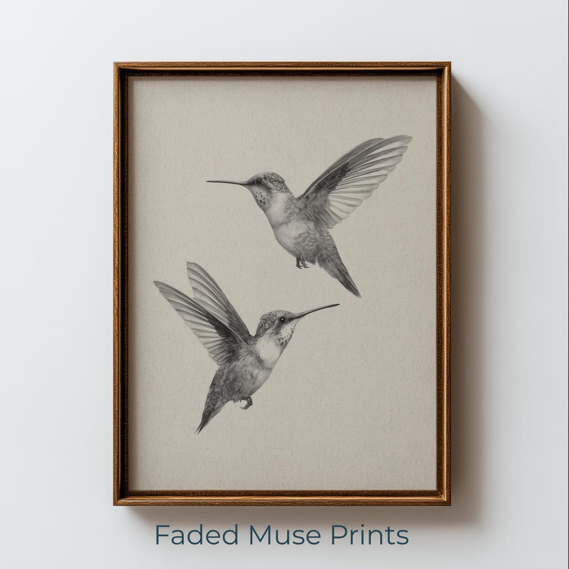 Two Hummingbirds Grayscale Sketch Vintage Bird Illustration Poster
