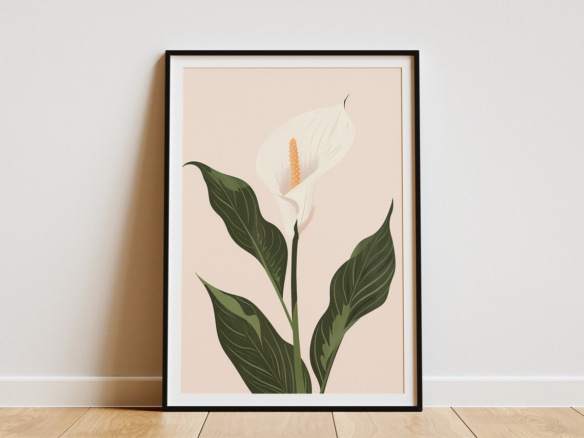 White Peace Lily Flower Minimalist Botanical Floral Art Poster
