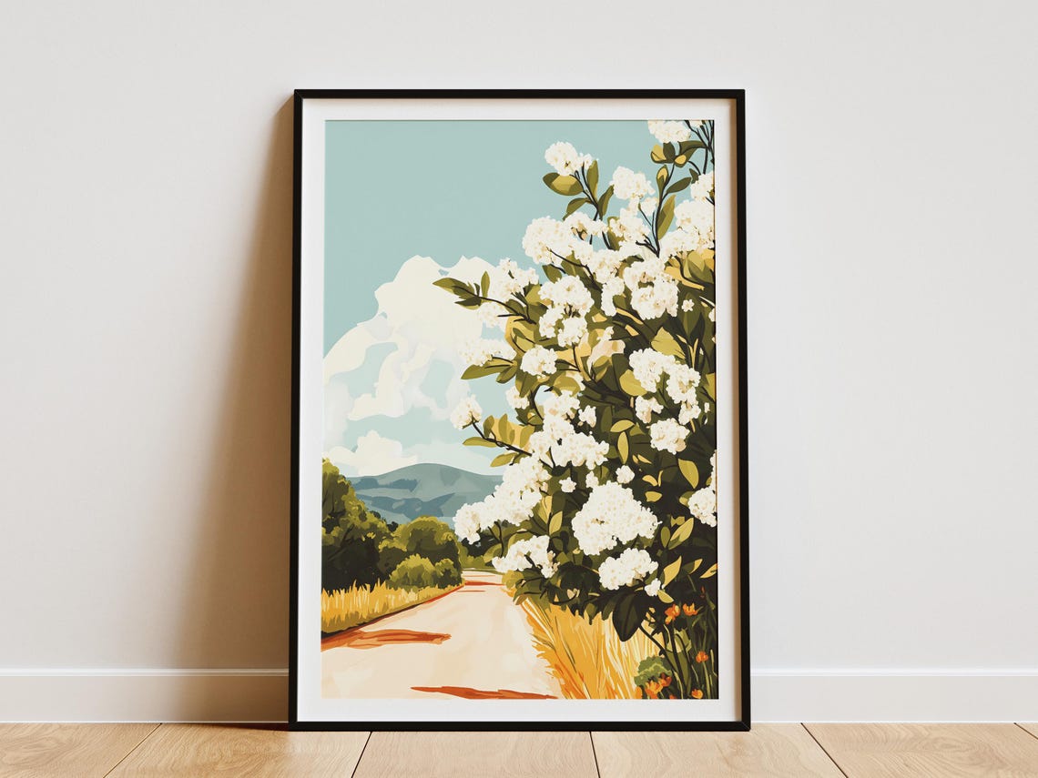 Country Road Lined with White Hydrangea Bushes Summer Poster