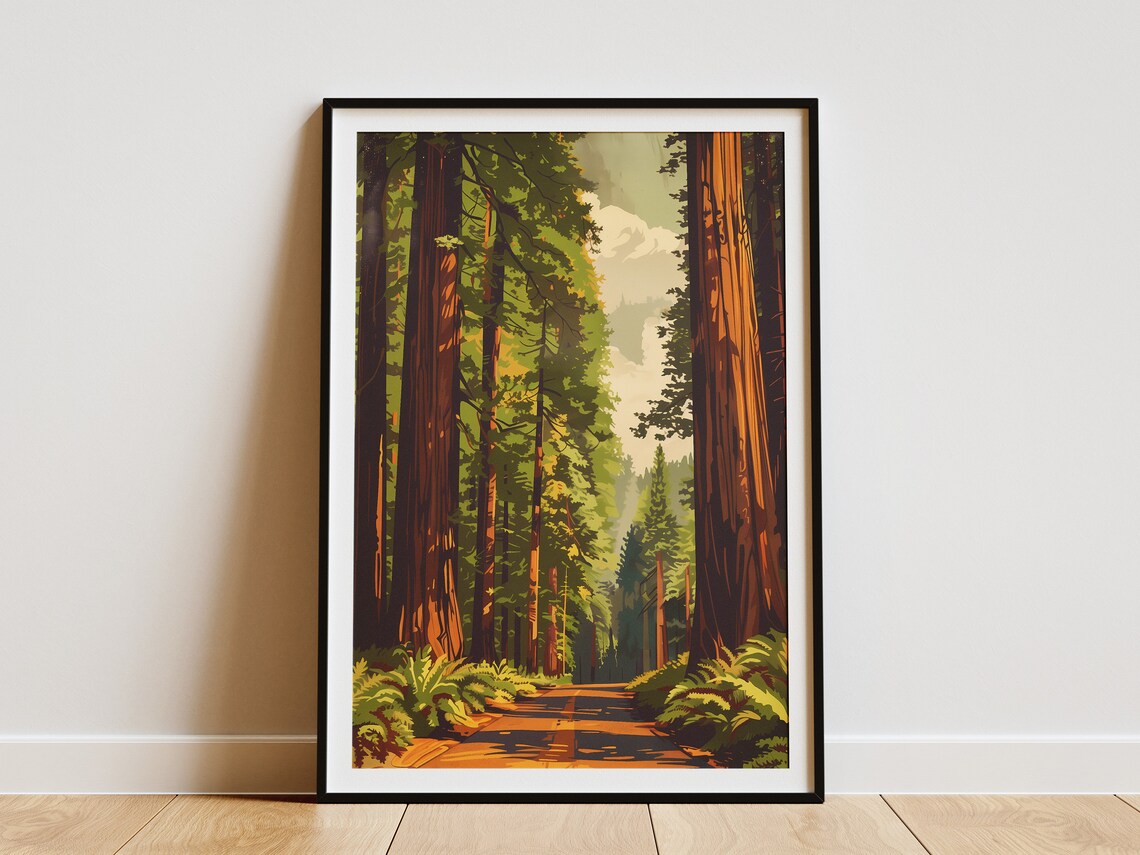 Redwood National Park Forest Travel Poster