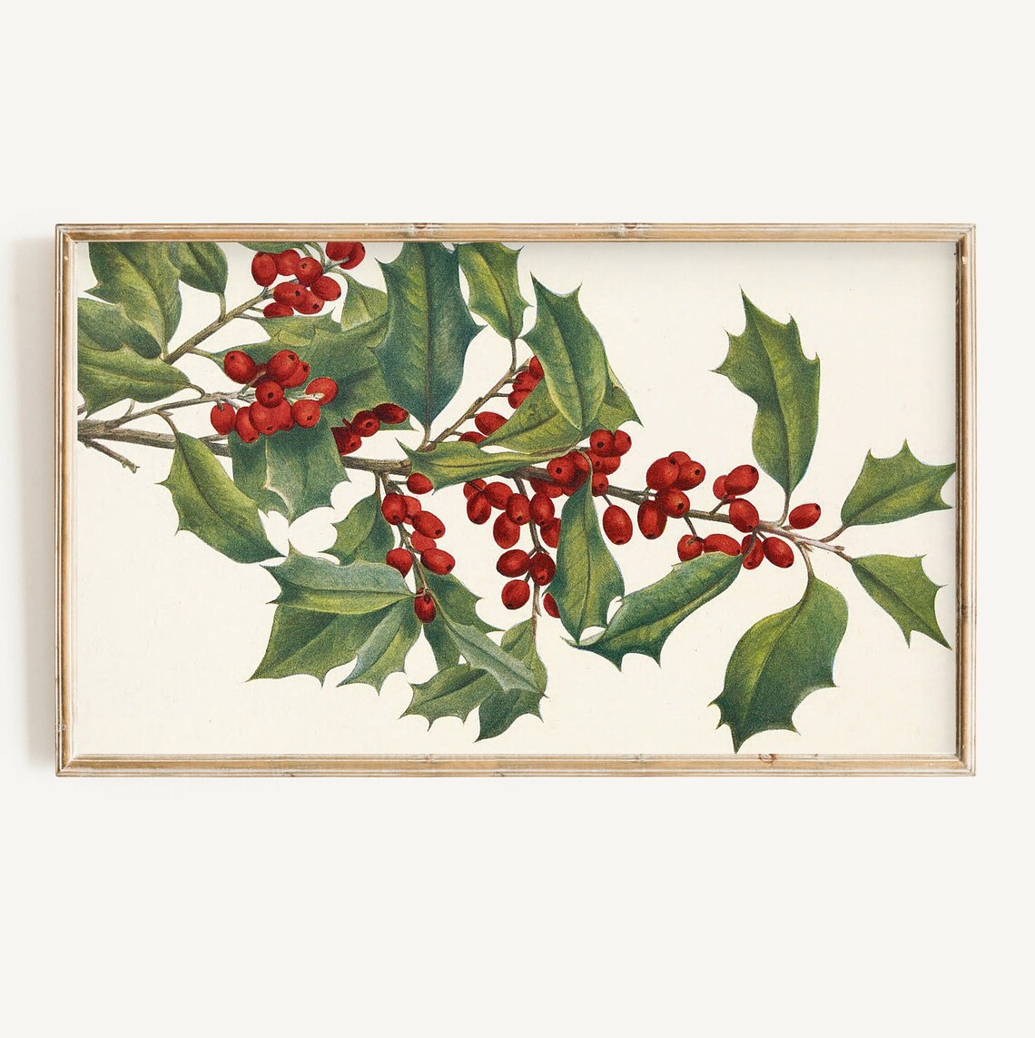 Vintage Botanical Holly Branch With Red Berries Classic Art Print