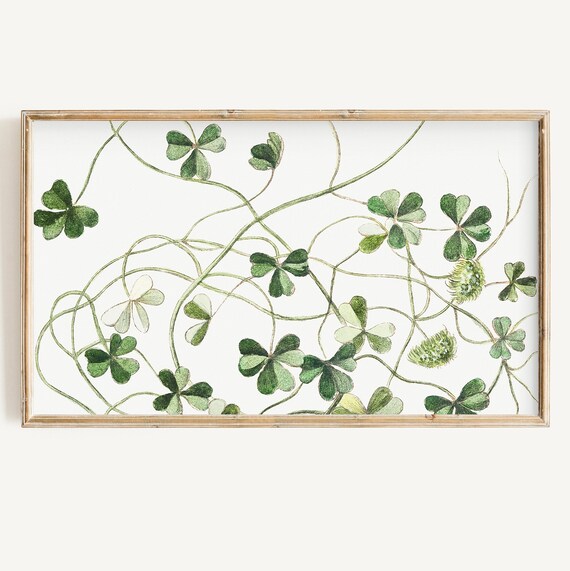 Green Clover Shamrock Botanical Watercolor White Background Art Print