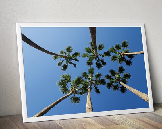 Tropical Palm Trees Blue Sky Photography Coastal Beach Wall Print