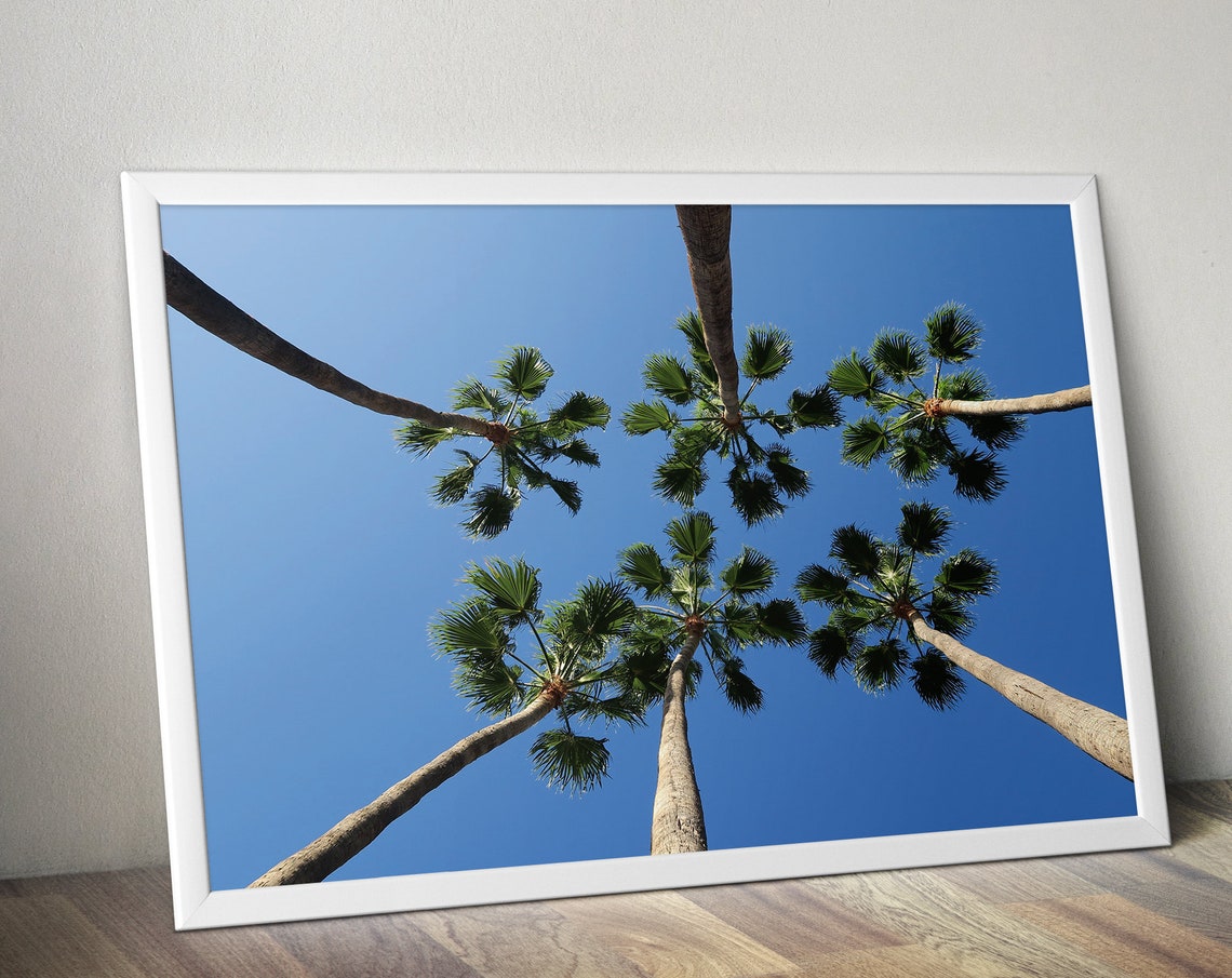 Tropical Palm Trees Blue Sky Photography Coastal Beach Wall Print