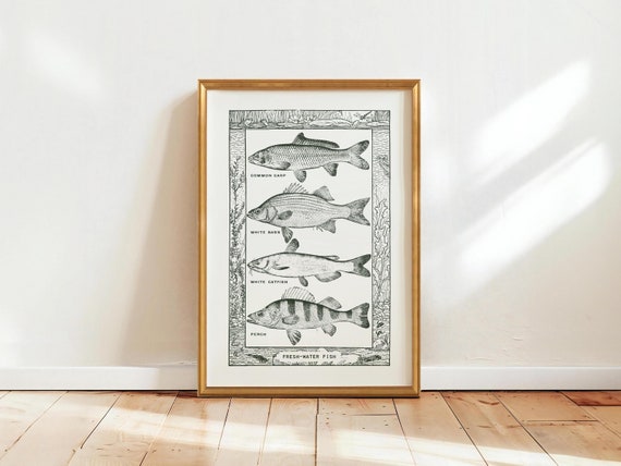 Fresh Water Fish Print Fishing Gift For Dad Vintage Fisherman Art Poster Retro Angler Wall Decor Fishing Artwork Outdoorsy Wall Art