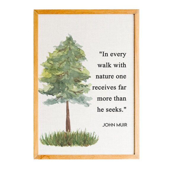 John Muir In Every Walk With Nature Quote Watercolor Tree Poster