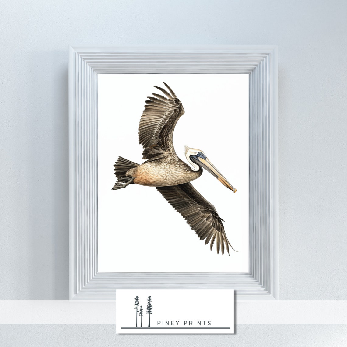 Brown Pelican In Flight Seabird Watercolor Illustration Art Poster - Image 2