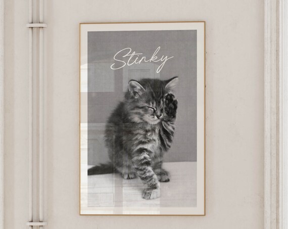 Stinky Funny Kitten Bathroom Washing Paw Vintage Photo Poster