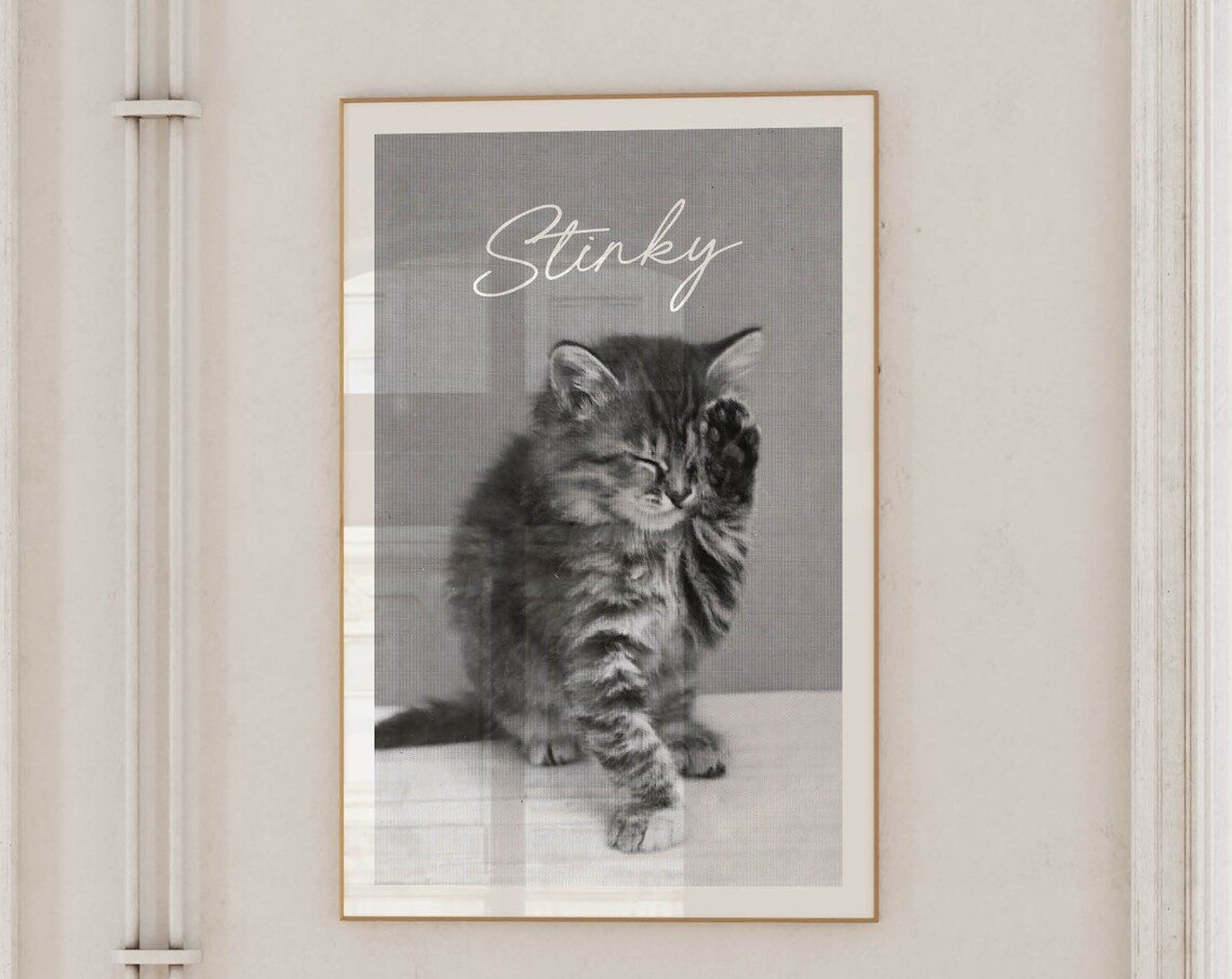 Stinky Funny Kitten Bathroom Washing Paw Vintage Photo Poster
