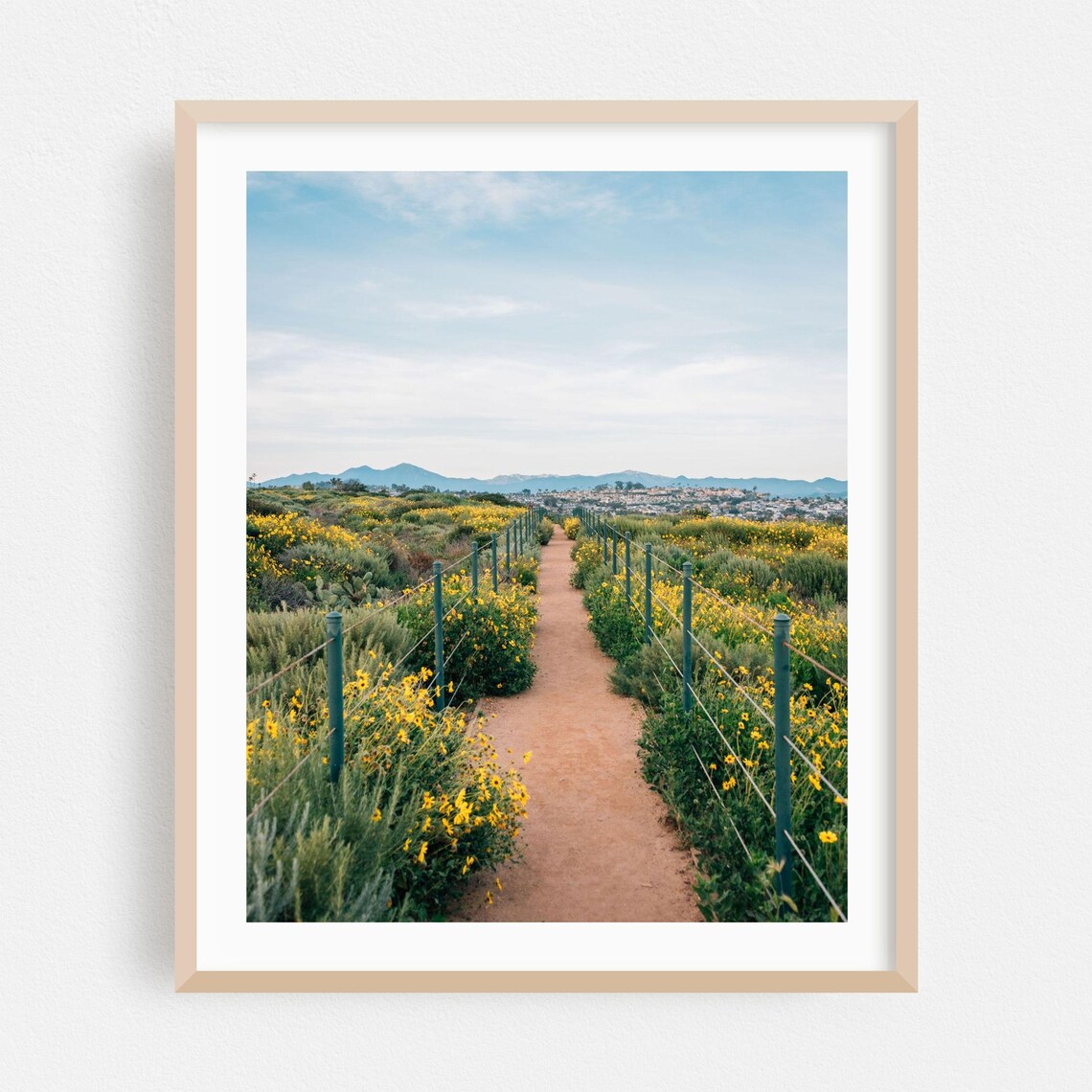 Dana Point Wildflower Trail Scenic Nature Walk Landscape Poster
