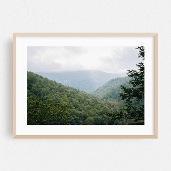 New York Nature Landscape Art Print, Autumn Forest