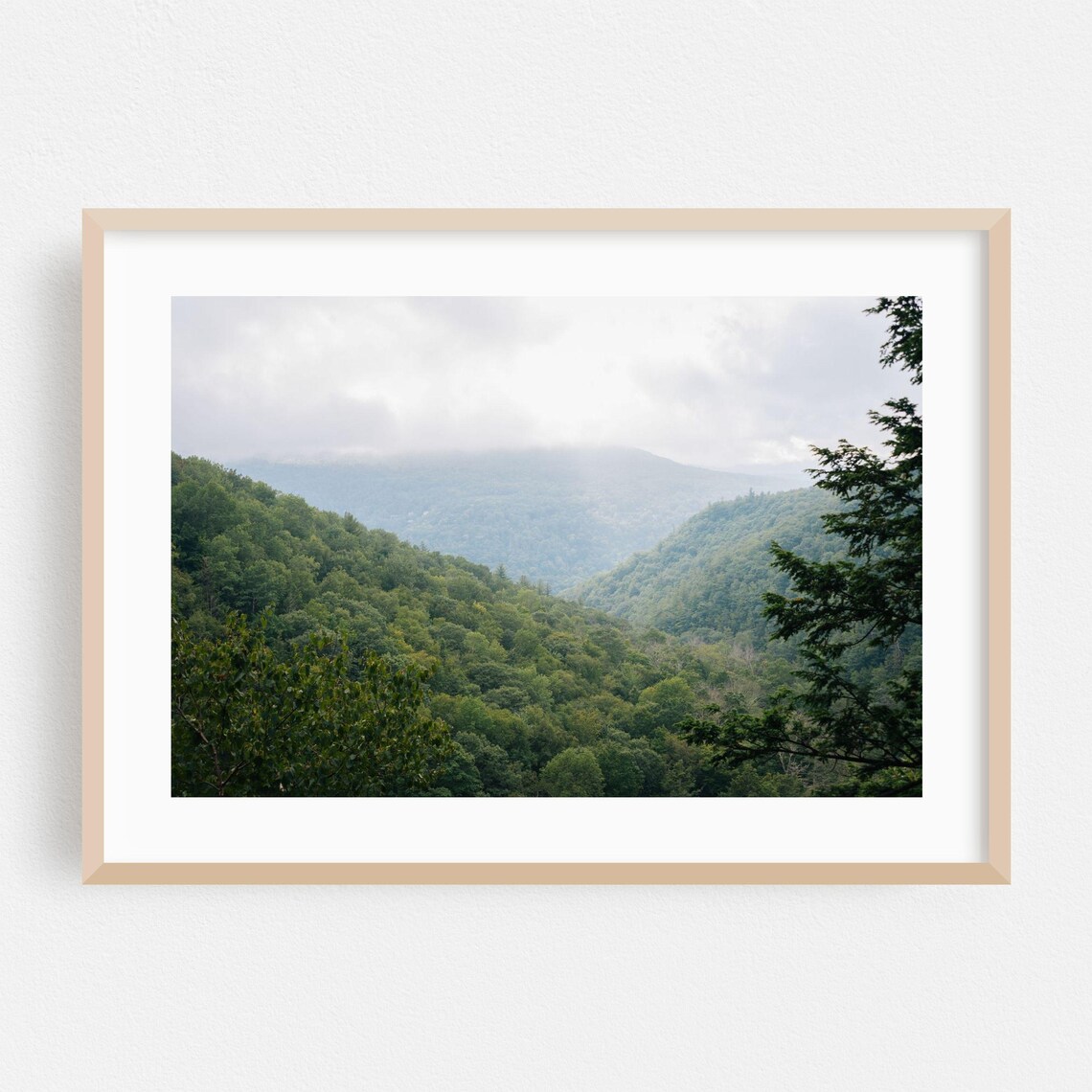 New York Nature Landscape Art Print, Autumn Forest