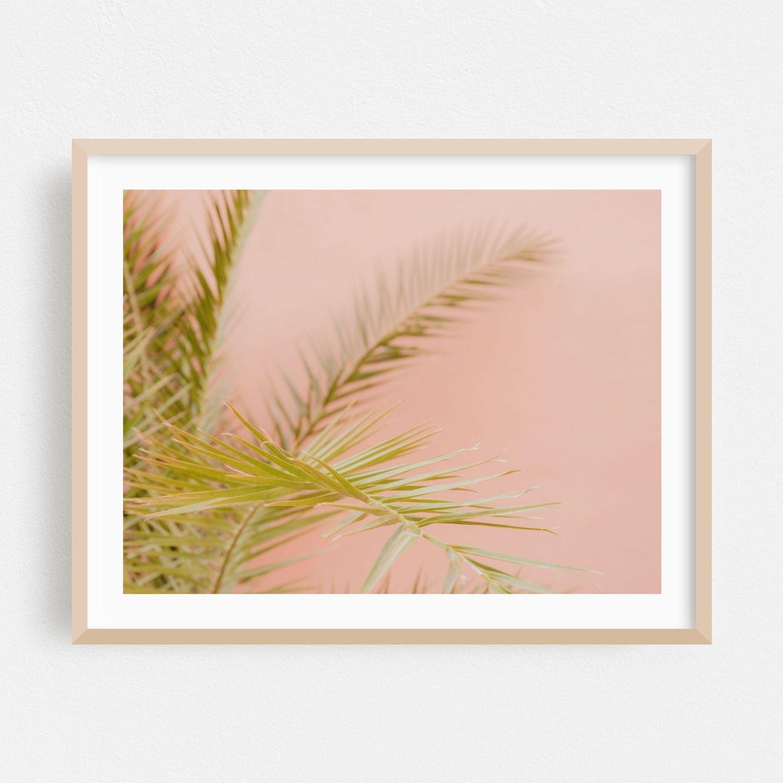 Moroccan Palm Tree Fronds Blush Pink Wall Botanical Photo Poster