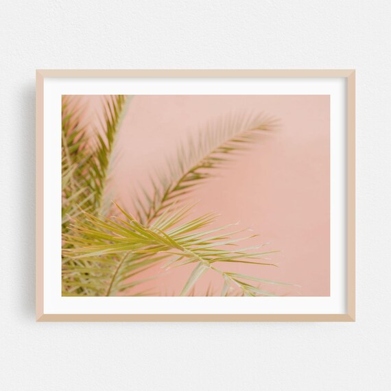 Moroccan Palm Tree Fronds Blush Pink Wall Botanical Photo Poster