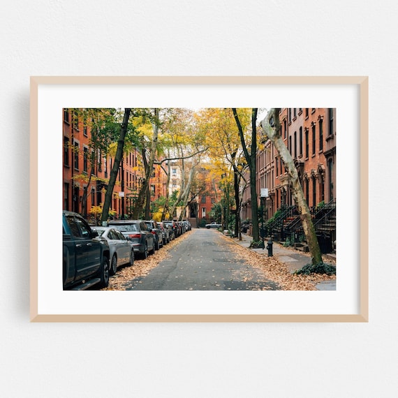 New York Autumn Street Brownstones Fall Leaves Photo Art Print