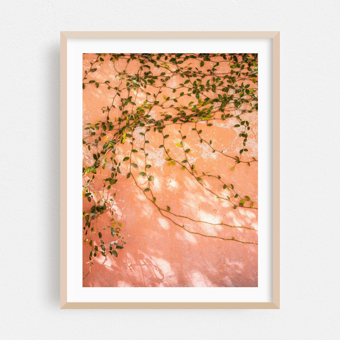 Trailing Green Vines on Peach Plaster Wall Botanical Photo Poster