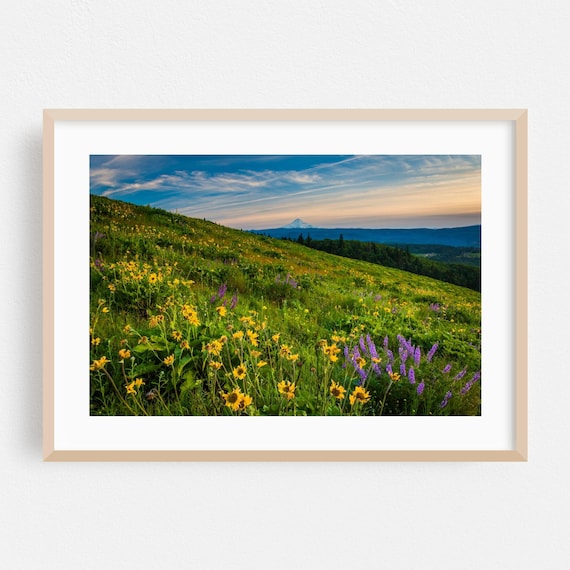 Oregon Wildflower Meadow Mountain Peak Summer Landscape Poster