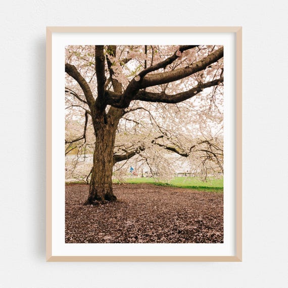 Manhattan Print New York Wall Art Cherry Blossom Framed Nature Home Decor Floral Poster Botanical Fine Scenic Photography
