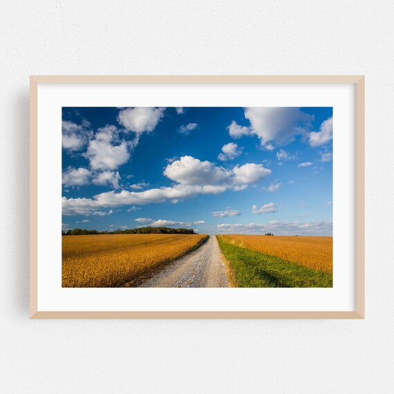 Golden Wheat Field Gravel Road Wide Blue Sky Countryside Poster