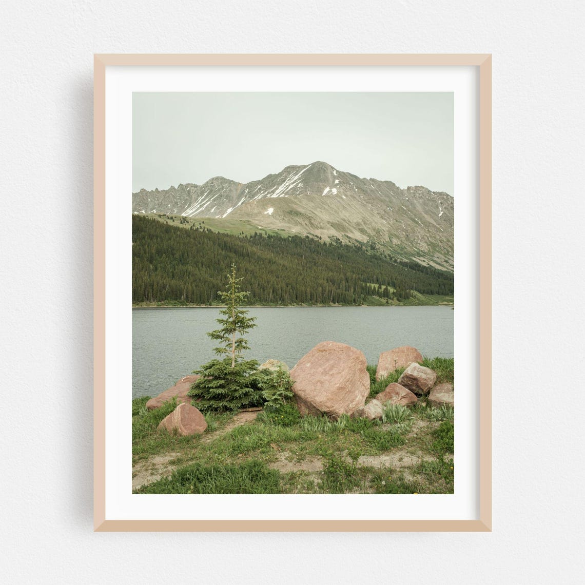 Colorado Rocky Mountain Lake Boulder Shore Evergreen Forest Poster