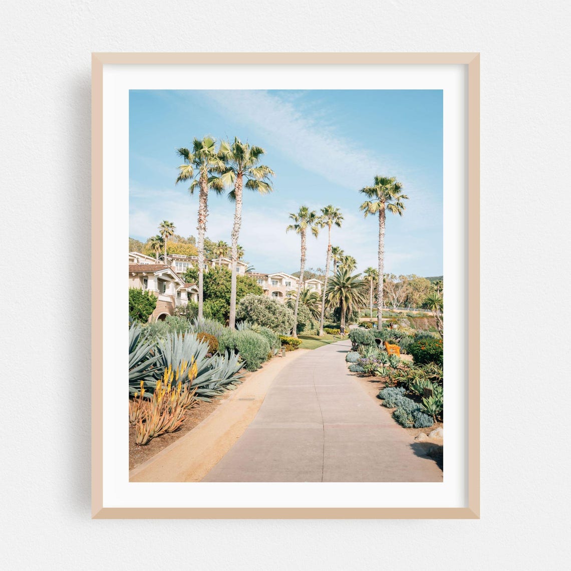 Laguna Beach Palm Tree Garden Pathway Tropical Sunset Scene Poster