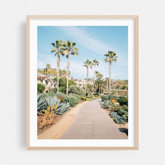 Laguna Beach Palm Tree Garden Pathway Tropical Sunset Scene Poster