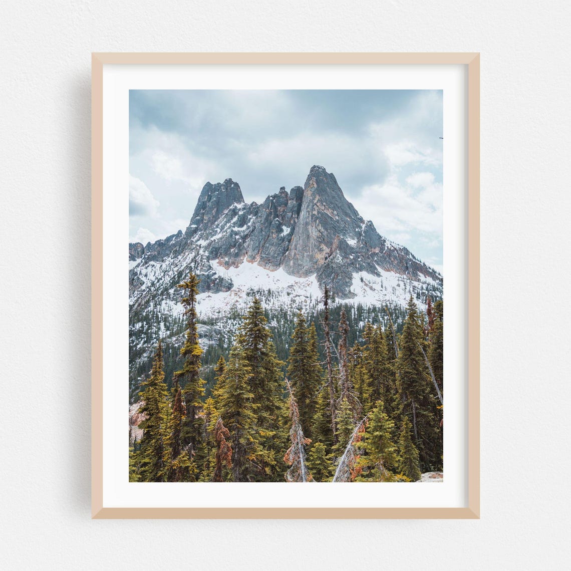 Washington State Snowy Peak And Pine Forest Photo Wall Print