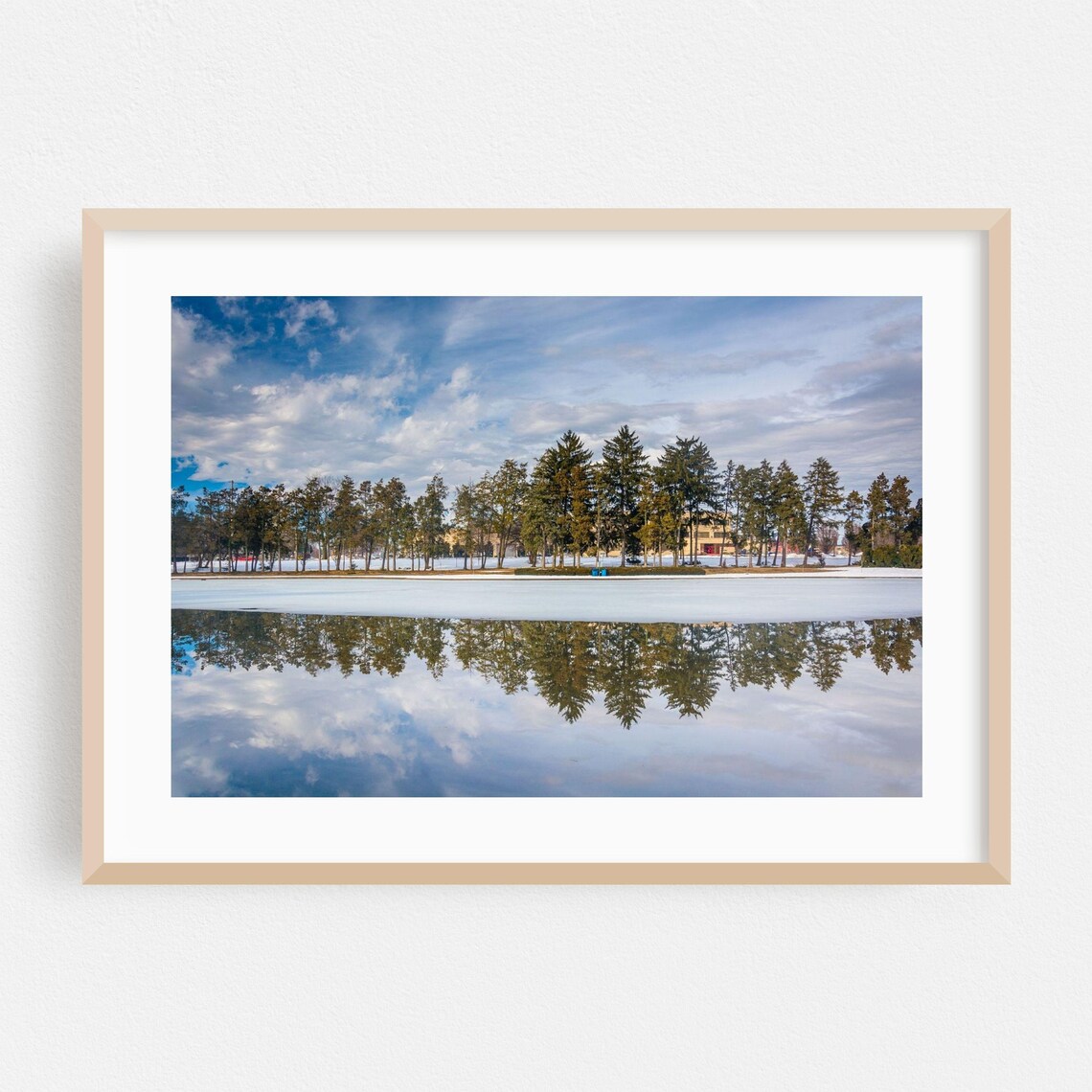 Winter Frozen Lake Pine Tree Mirror Reflection Landscape Photography Poster