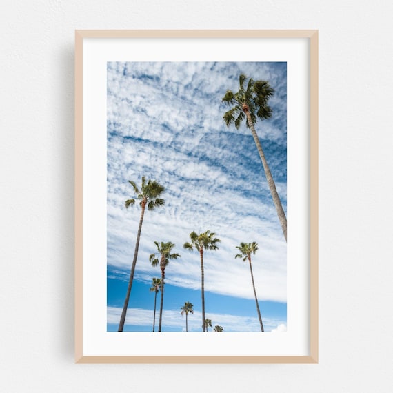 Newport Beach Palm Trees Against Dramatic Cloudy Sky Photo Poster