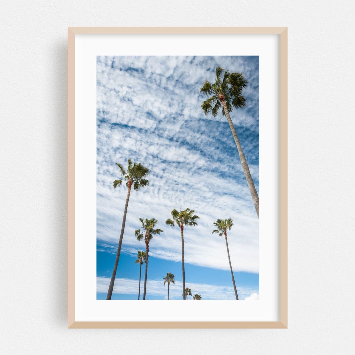 Newport Beach Palm Trees Against Dramatic Cloudy Sky Photo Poster