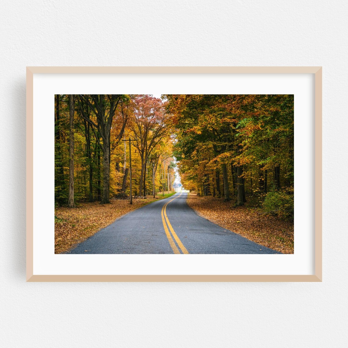 Maryland Autumn Forest Road Golden Foliage Scenic Drive Poster