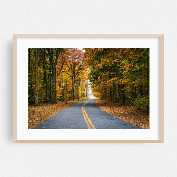 Maryland Autumn Forest Road Golden Foliage Scenic Drive Poster