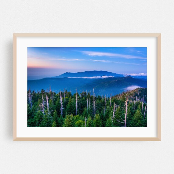 Tennessee Smoky Mountain Dawn Misty Forest Ridge Photo Poster