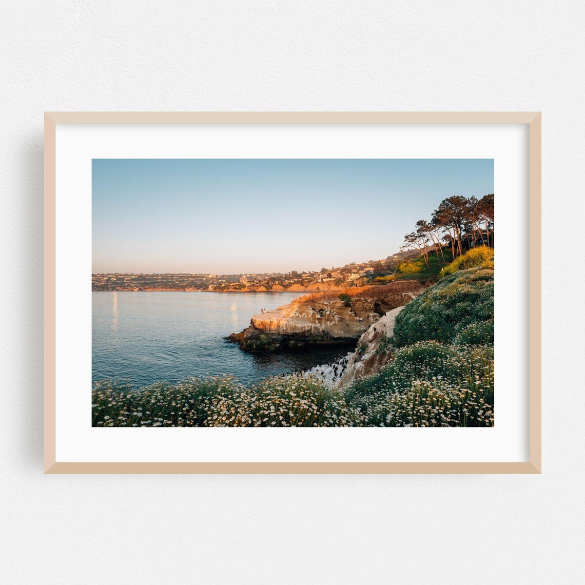Wildflower Cliff Coastal Landscape Golden Hour Photography Poster