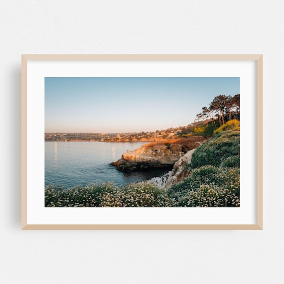 Wildflower Cliff Coastal Landscape Golden Hour Photography Poster