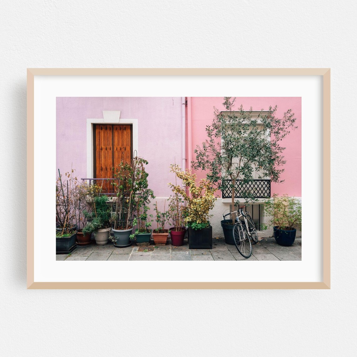 Pastel Paris House Facade with Shutters and Plants Photo Poster
