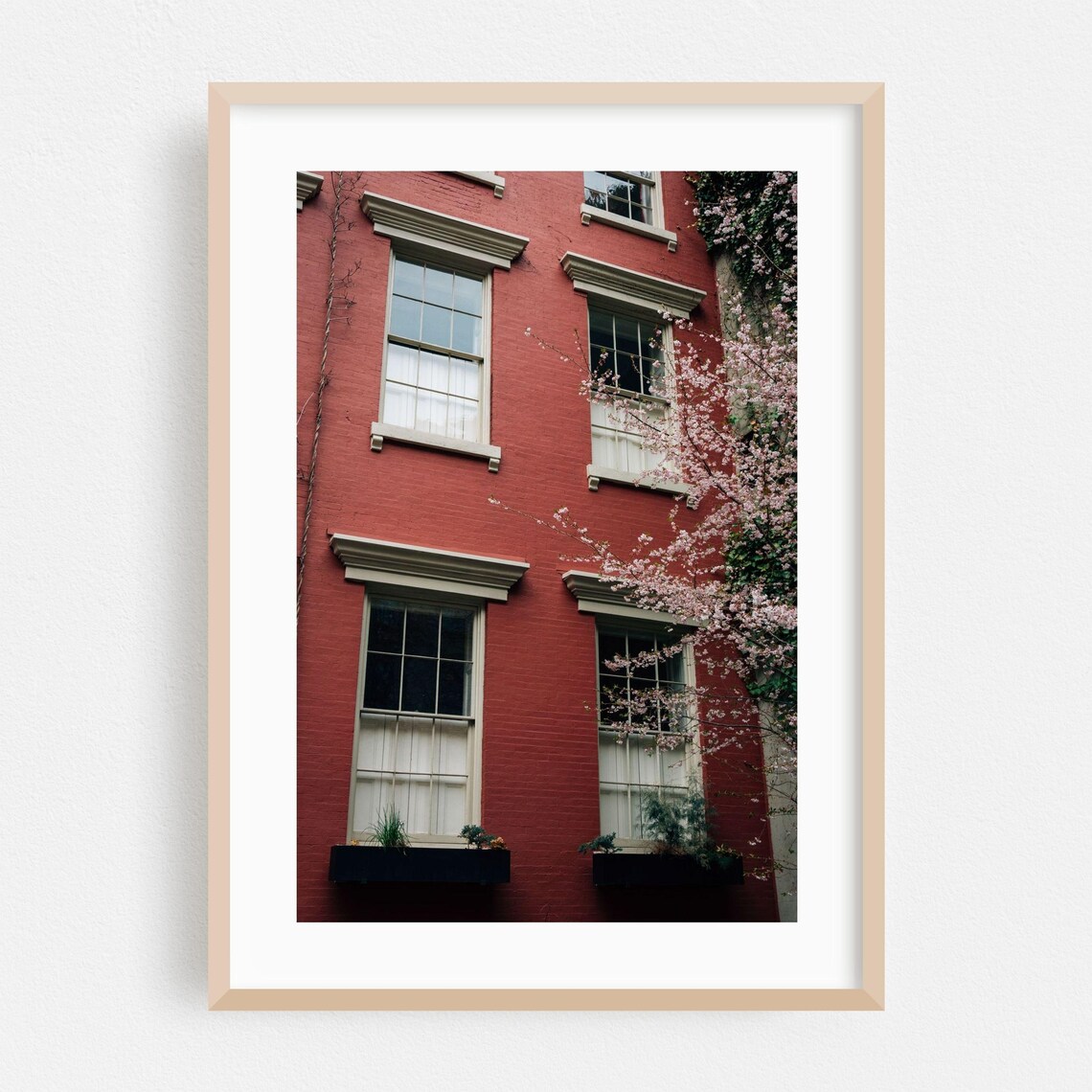 New York Brownstone With Spring Cherry Blossoms Facade Photography Poster