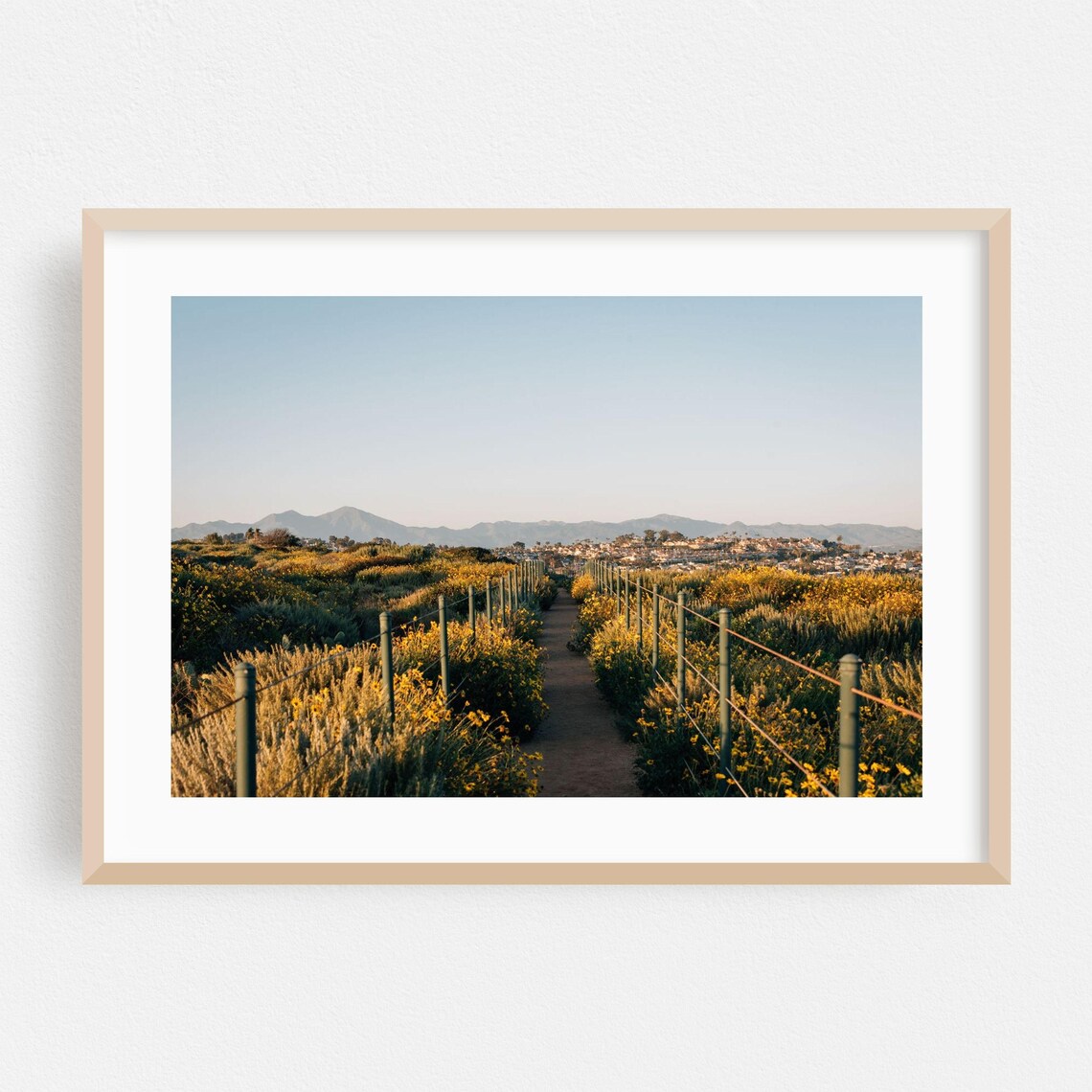 Dana Point Wildflower Trail Mountains Scenic Photography Poster