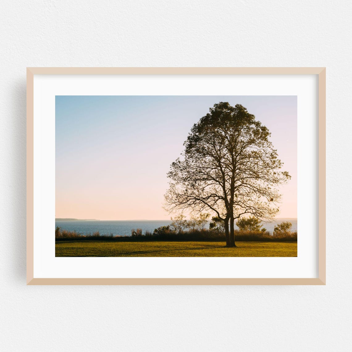 Lone Tree Silhouette At Sunset Over Ocean Minimalist Nature Poster