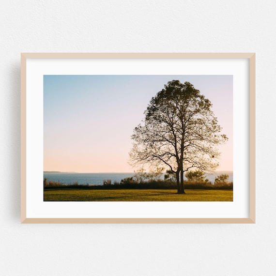 Lone Tree Silhouette At Sunset Over Ocean Minimalist Nature Poster