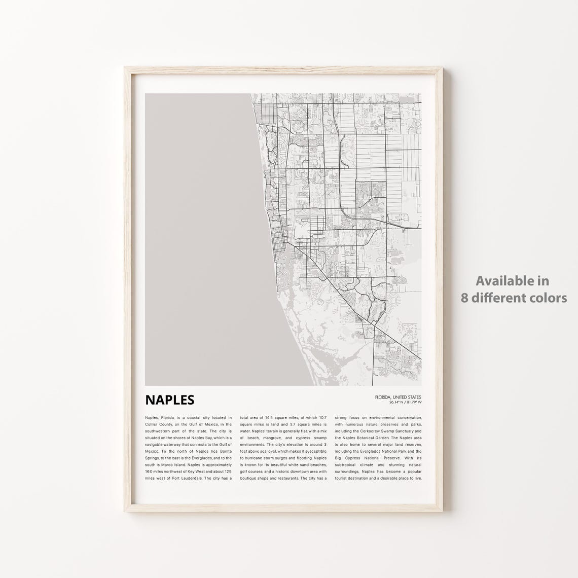 Naples Florida Minimalist Coastal City Street Map Gulf Travel Gift Poster