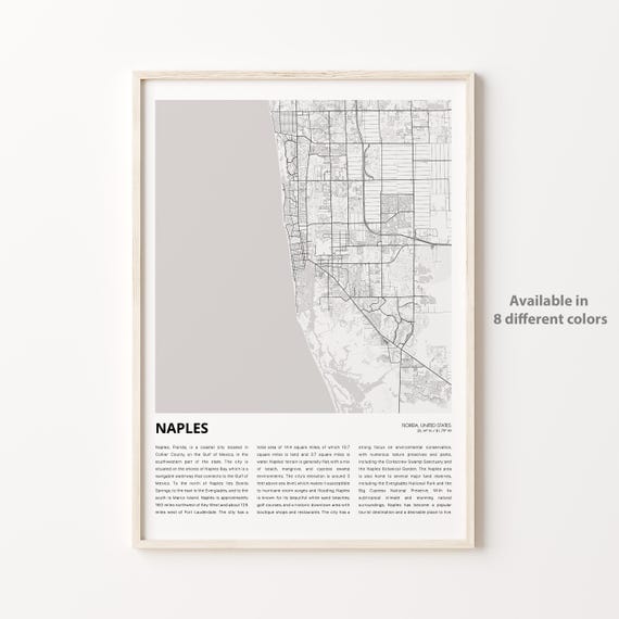 Naples Florida Minimalist Coastal City Street Map Gulf Travel Gift Poster