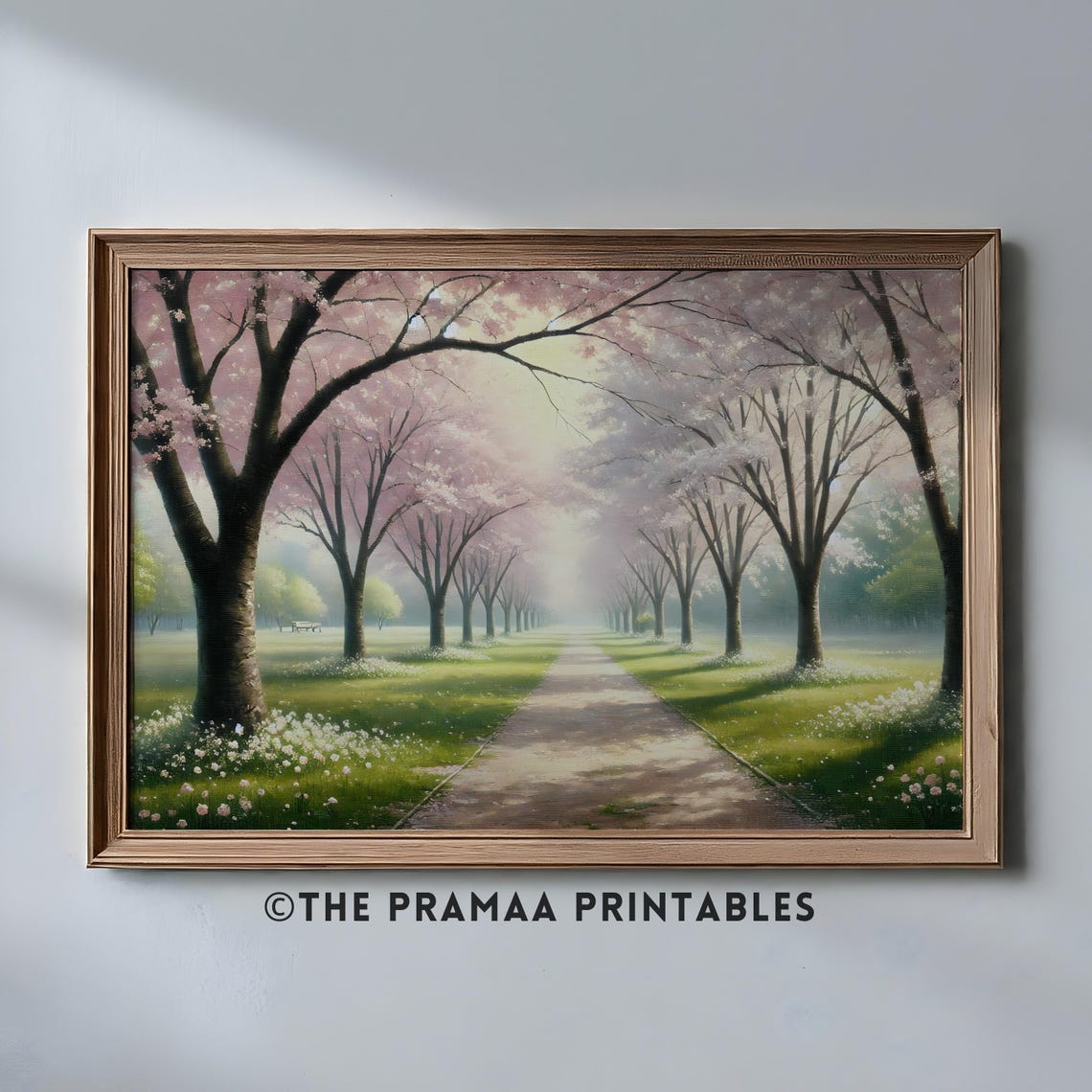 Cherry Blossom Tree Lined Park Path Vintage Spring Landscape Poster