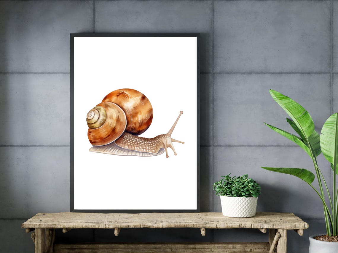 Garden Snail Watercolor Detailed Spiral Shell Nature Art Poster - Image 3