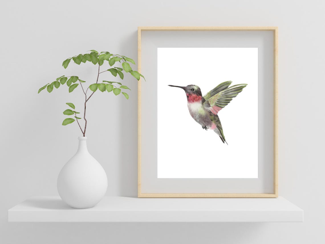 Ruby Throated Hummingbird Watercolor Bird Flight Fine Art Print - Image 2