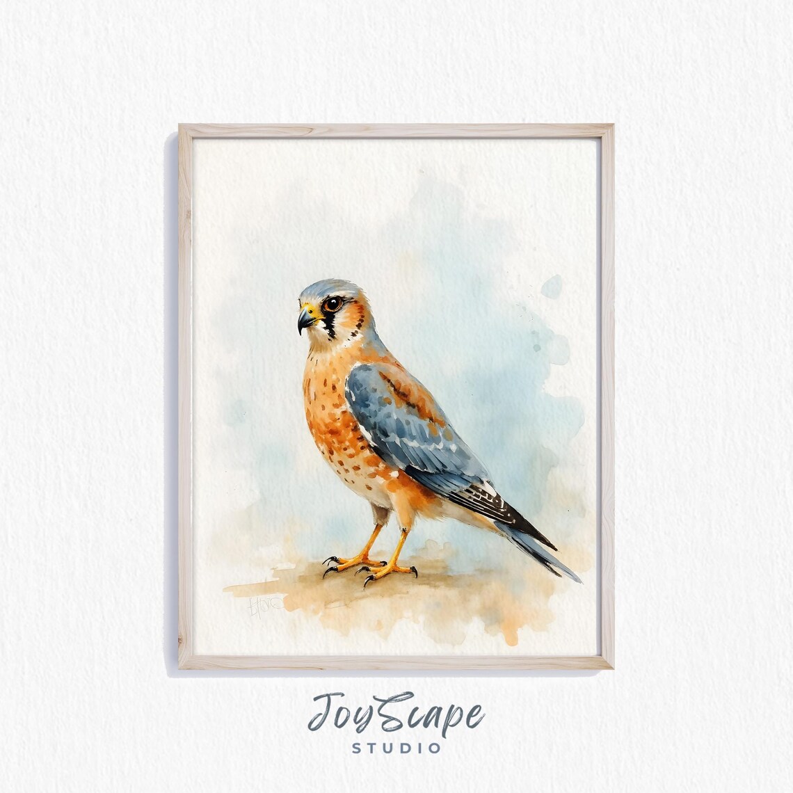 American Kestrel Watercolor Falcon Bird Wildlife Nature Wall Art
